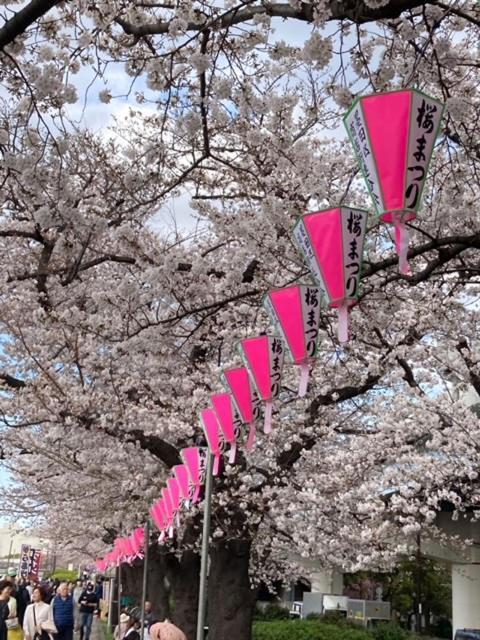 Sky Tree Inn 東京都 エクステリア 写真