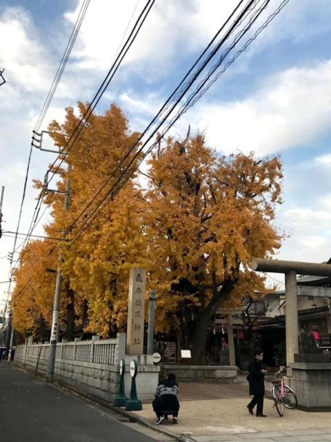 Sky Tree Inn 東京都 エクステリア 写真