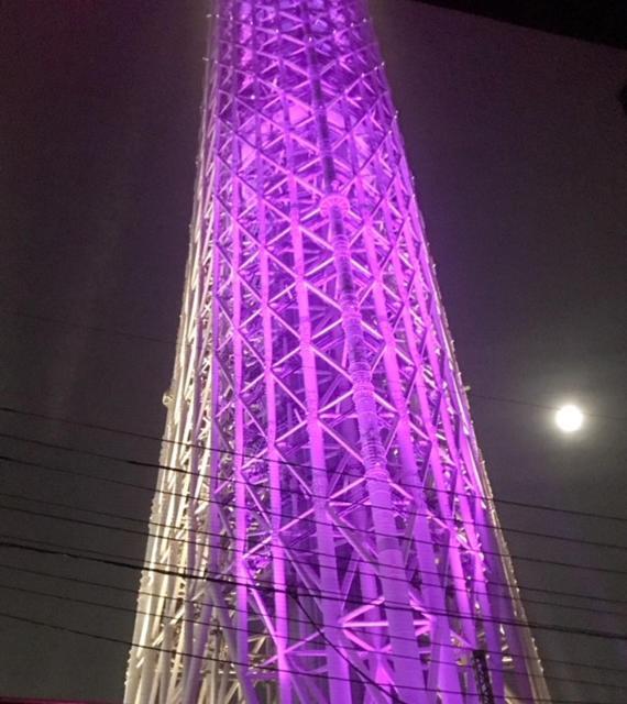 Sky Tree Inn 東京都 エクステリア 写真