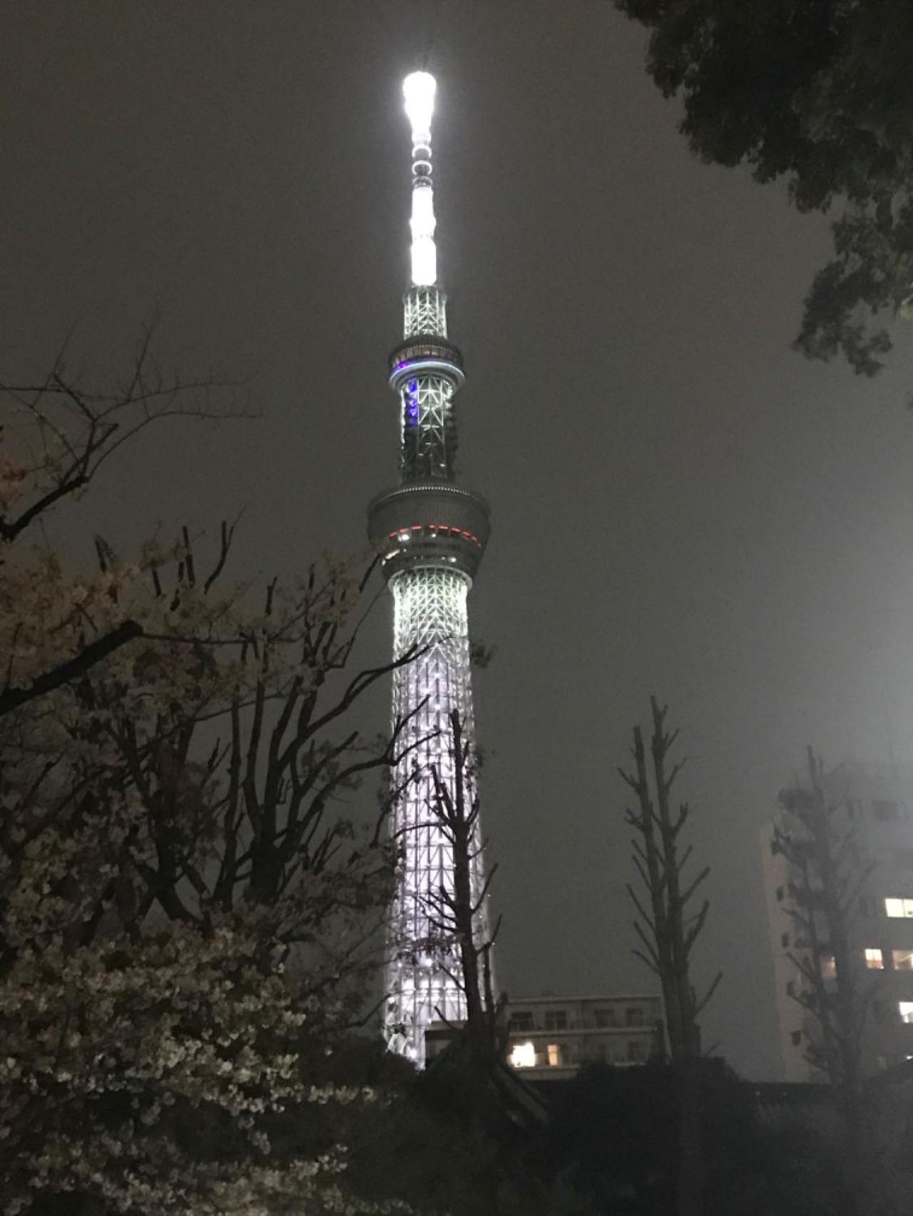Sky Tree Inn 東京都 エクステリア 写真