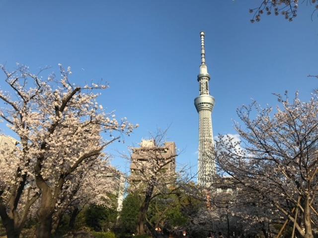 Sky Tree Inn 東京都 エクステリア 写真